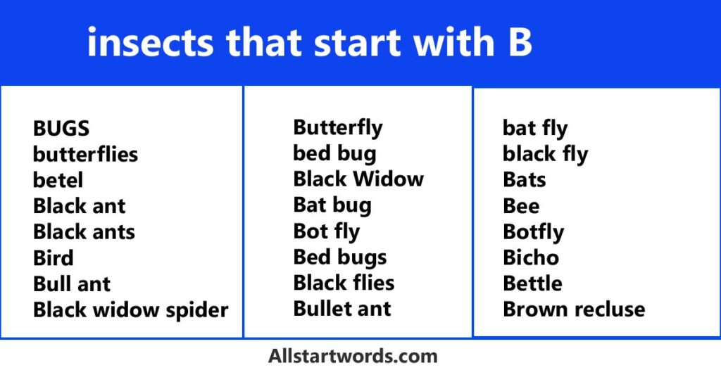 insects that start with B