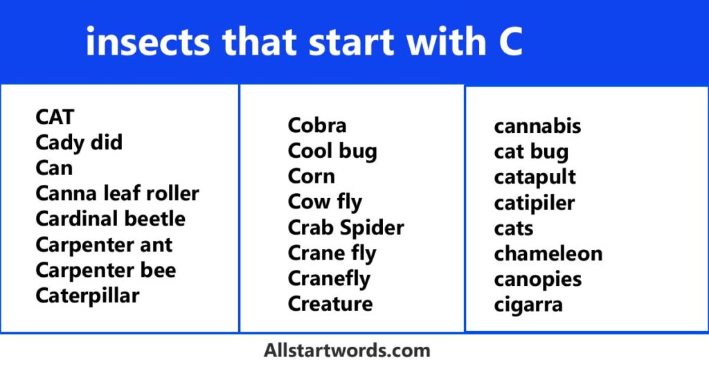 insects that start with C