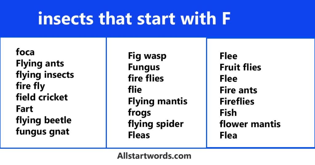 insects that start with F