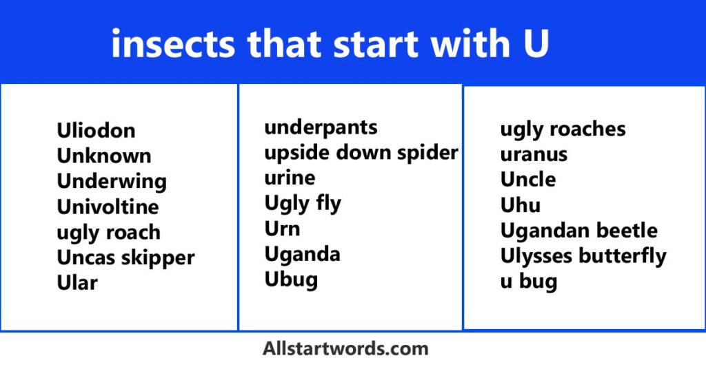 insects that start with U