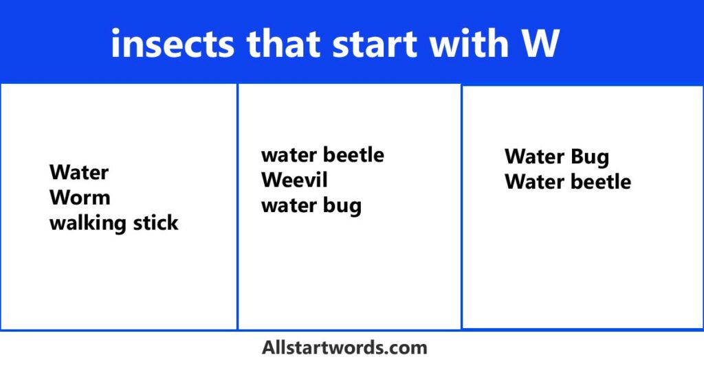 insects that start with W